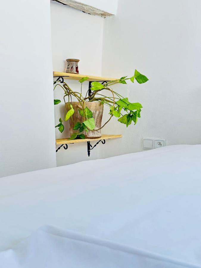 Ocean Home Essaouira Bagian luar foto